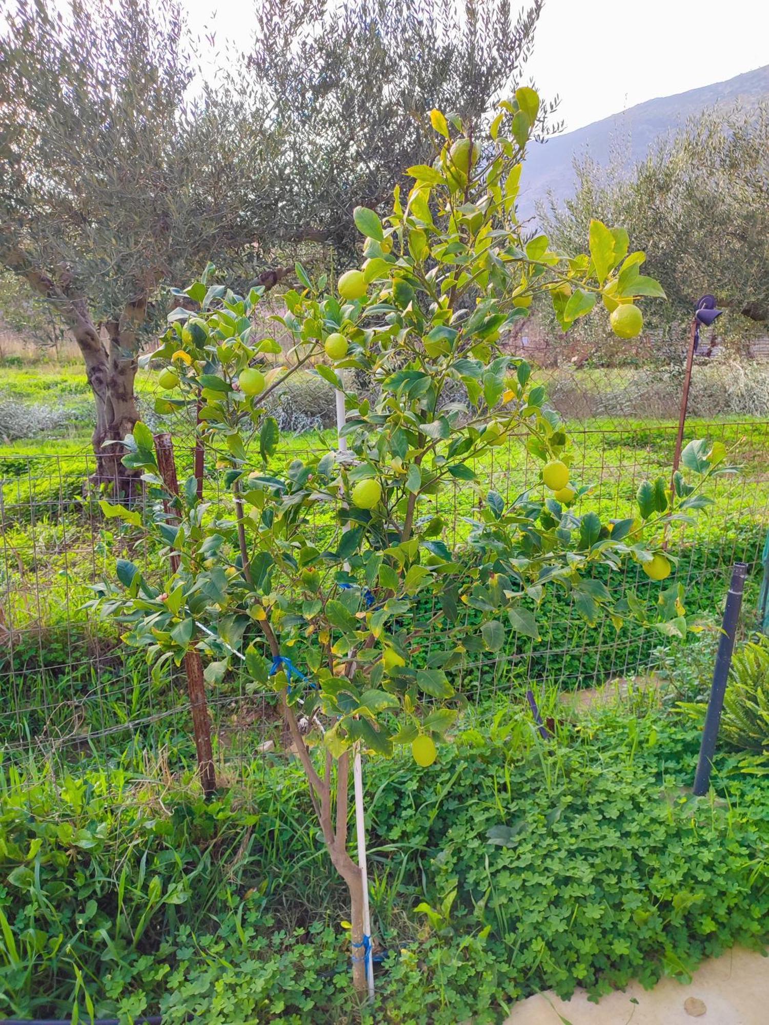 Σπίτι διακοπών Nature Retreat